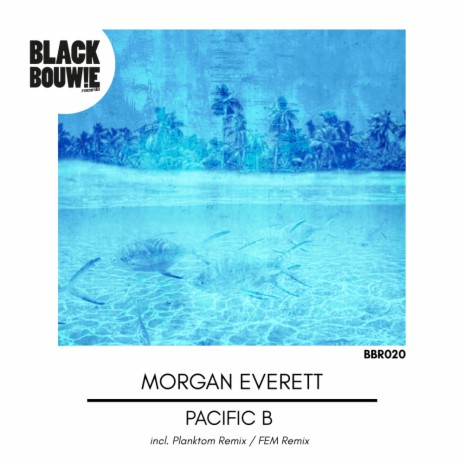Pacific B (FEM Remix) | Boomplay Music