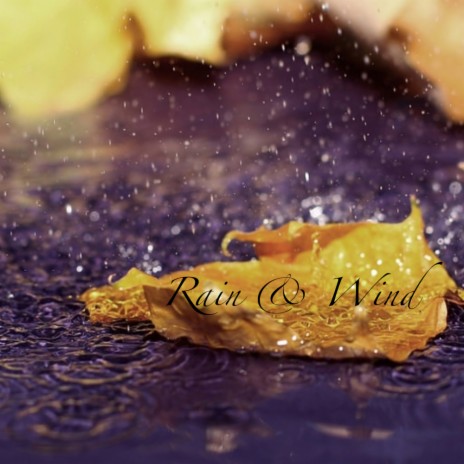 Rain & Wind (Original Mix) | Boomplay Music
