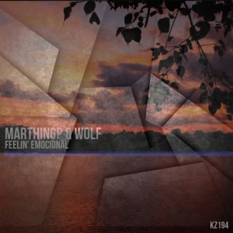 Feeling Emocional (Original Mix) ft. Wolf | Boomplay Music