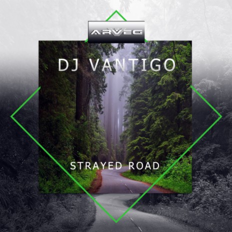 Strayed Road (Original Mix)