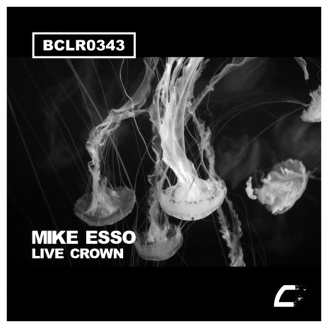 Live Crown (Original Mix) | Boomplay Music