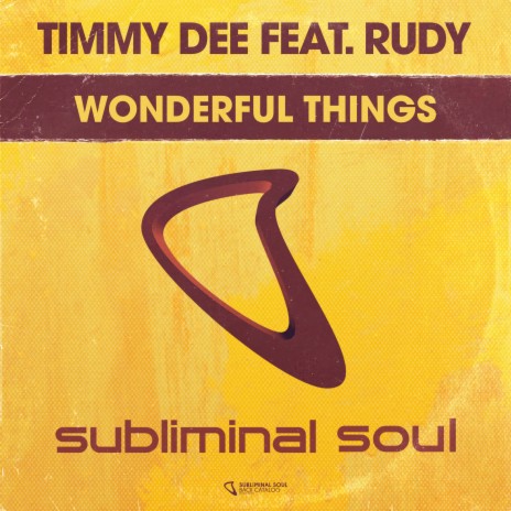 Wonderful Things (Original Mix) ft. Rudy | Boomplay Music