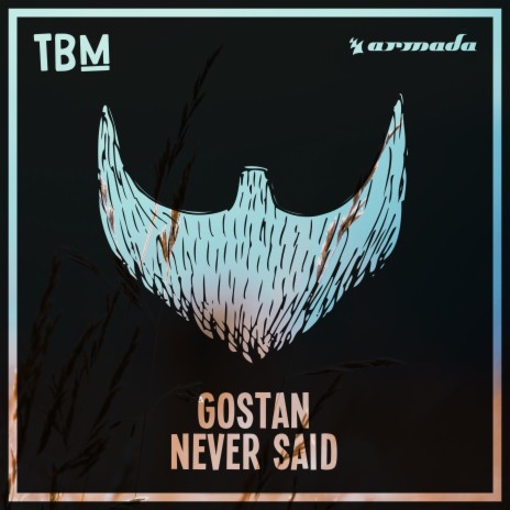 Never Said | Boomplay Music