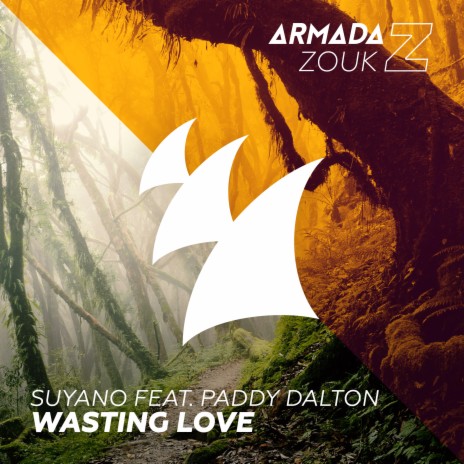 Wasting Love ft. Paddy Dalton | Boomplay Music