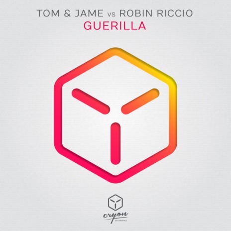 Guerilla (Radio Edit) ft. Robin Riccio | Boomplay Music