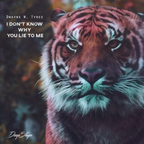 I Don't Know Why You Lie To Me (Original Mix)