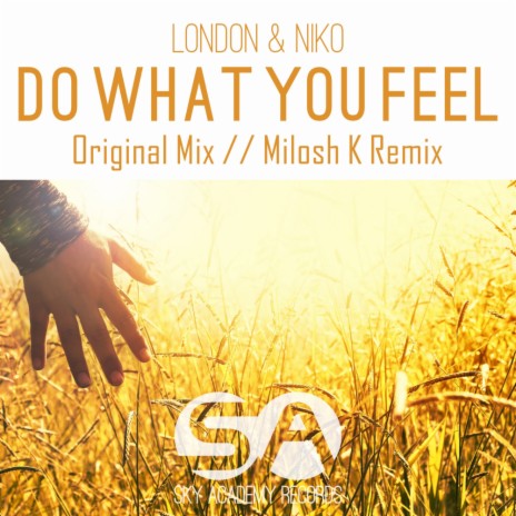 Do What You Feel (Milosh K Remix)