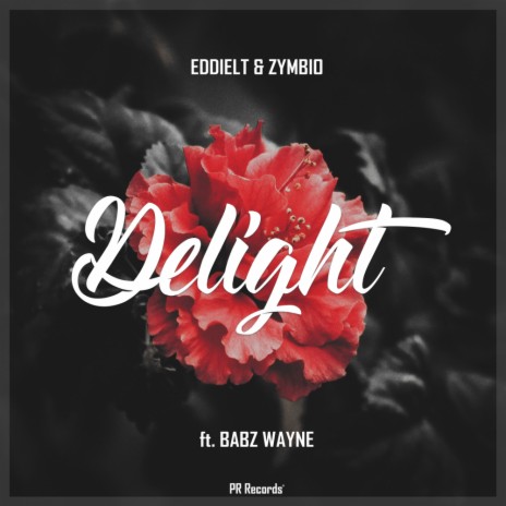 Delight (Original Mix) ft. Zymbio & Babz Wayne | Boomplay Music