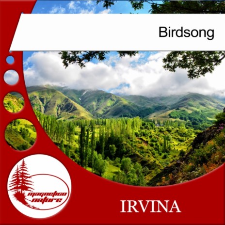 Birdsong (Original Mix)