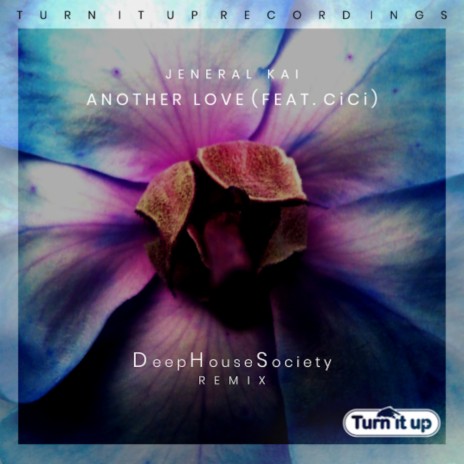 Another Love (Deep House Society Remix) ft. CiCi | Boomplay Music