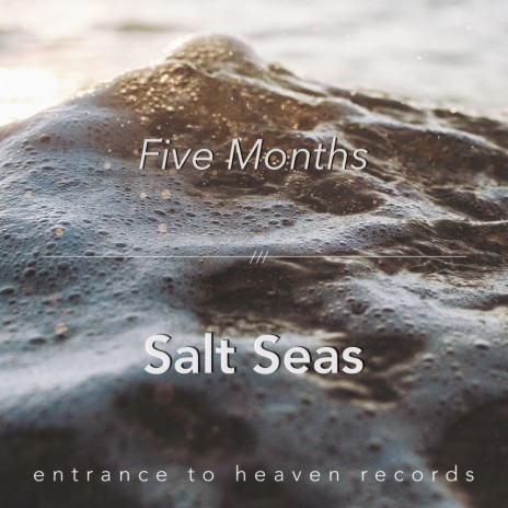 Salt Seas (Original Mix) | Boomplay Music