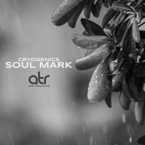 Soul Mark (Original Mix)