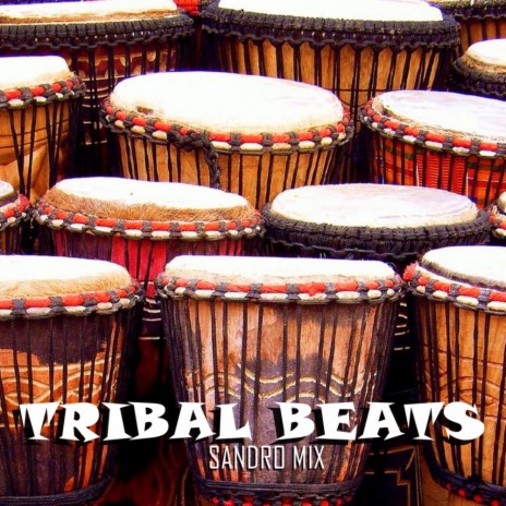 Tribal Beats (Original Mix) | Boomplay Music