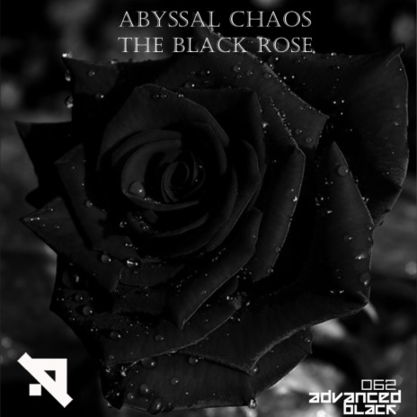 The Black Rose (Original Mix)