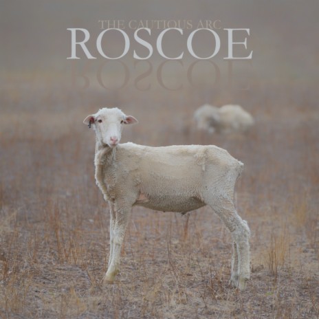 Roscoe (Field Mix) | Boomplay Music