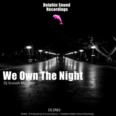 We Own The Night (Original Mix)