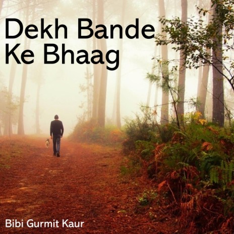 Dekh Bande Ke Bhaag | Boomplay Music