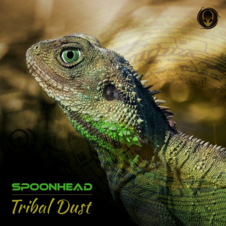 Tribal Dust (Transcenic Remix) | Boomplay Music