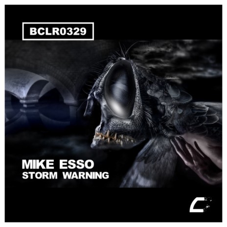 Storm Warning (Original Mix)