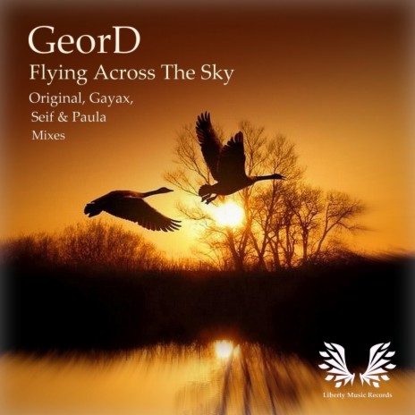 Flying Across The Sky (Gayax Remix) | Boomplay Music