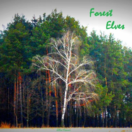 Forest Elves | Boomplay Music