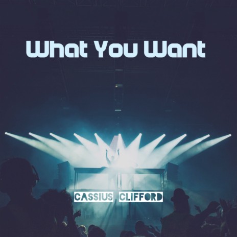 What You Want ft. Glorynade | Boomplay Music
