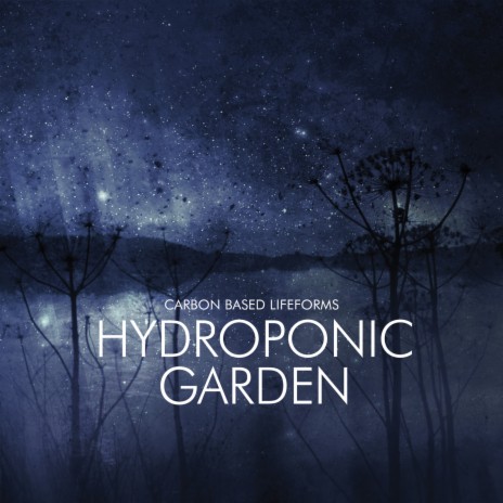 Hydroponic Garden | Boomplay Music