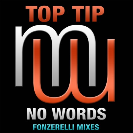 No Words (Fonzerelli Funky Synth Mix)