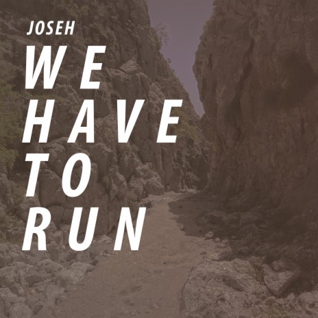 We Have to Run | Boomplay Music