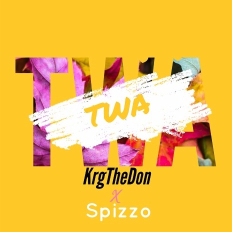 Twa Twa Ft Spizzo | Boomplay Music