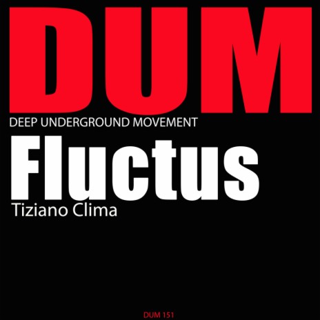 Fluctus (Original Mix)