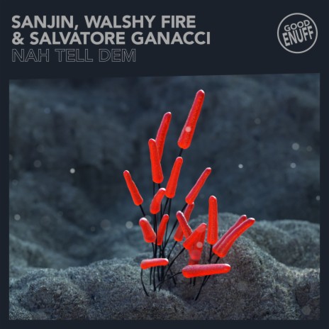 Nah Tell Dem ft. Sanjin & Salvatore Ganacci | Boomplay Music