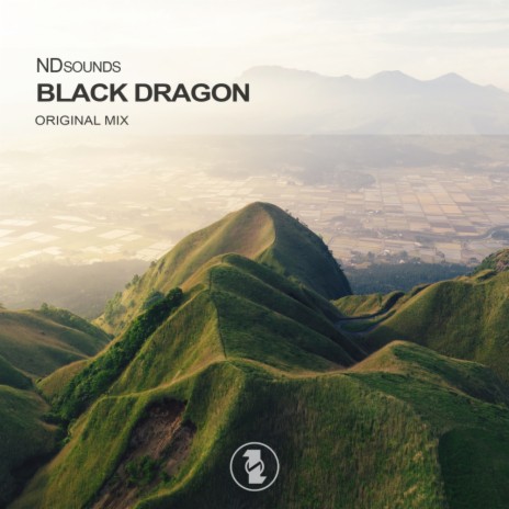 Black Dragon (Original Mix) | Boomplay Music