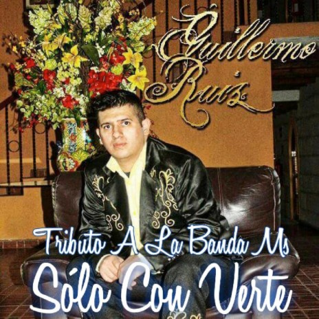 Solo Con Verte Tributo A La Banda Ms | Boomplay Music