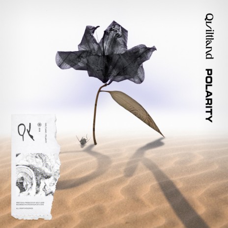 Polarity | Boomplay Music