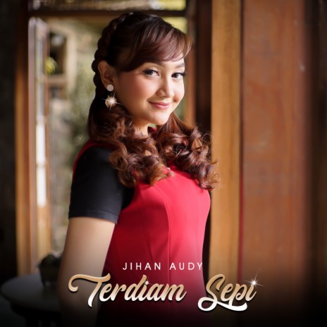 Terdiam Sepi | Boomplay Music