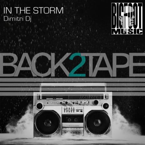 In The Storm (Original Mix)