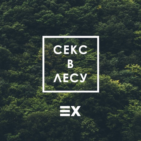 Секс в лесу | Boomplay Music