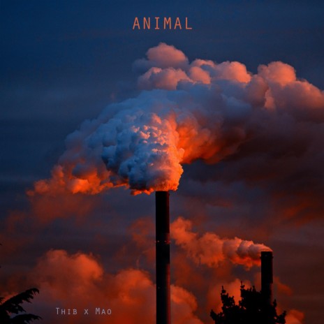 Animal | Boomplay Music