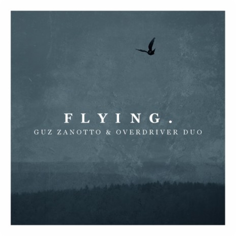 Flying ft. Guz Zanotto | Boomplay Music