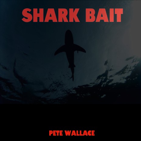 Shark Bait | Boomplay Music