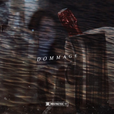 Dommage ft. Sofia | Boomplay Music