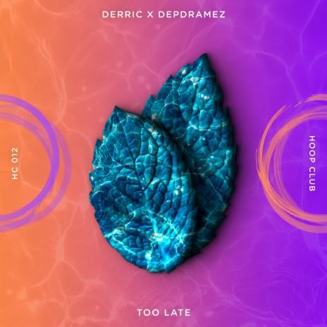 Too Late (Extended Mix) ft. Depdramez & Hoop Records | Boomplay Music