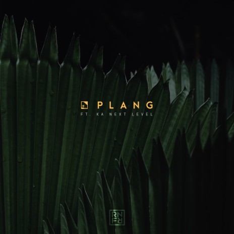 Plang ft. Ka Next Level | Boomplay Music