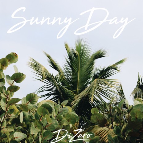 Sunny Day | Boomplay Music