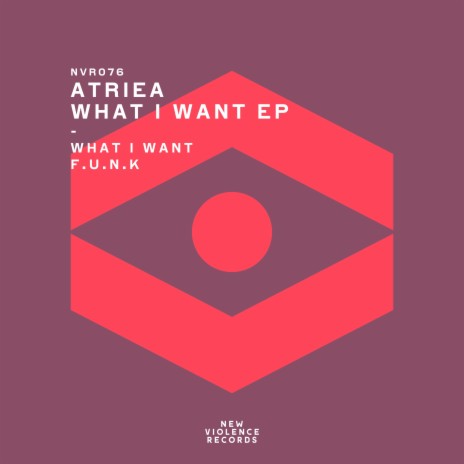 What I Want (Original Mix) | Boomplay Music