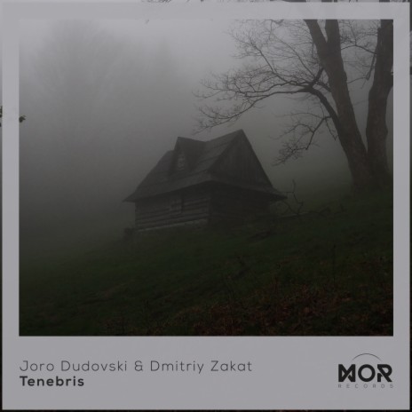 The Long Journey To Nowhere ft. Dmitriy Zakat | Boomplay Music