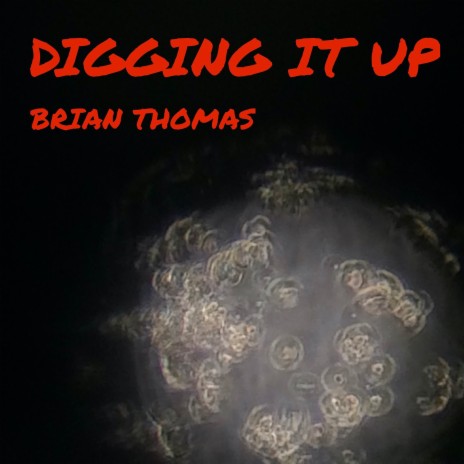 Digging It Up | Boomplay Music