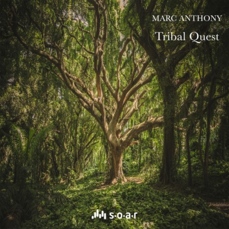 Tribal Quest (Seasoned In The Jungle Remix) | Boomplay Music