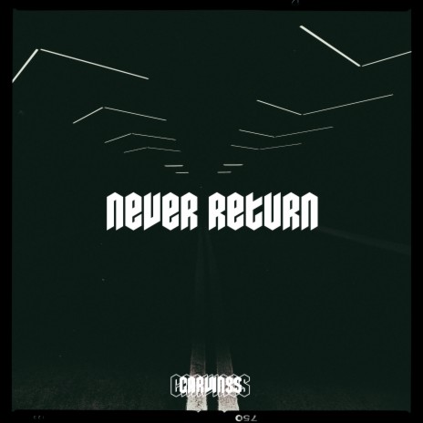 Never Return | Boomplay Music